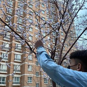 东京热高清无码系列
