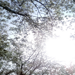 东京热高清无码系列
