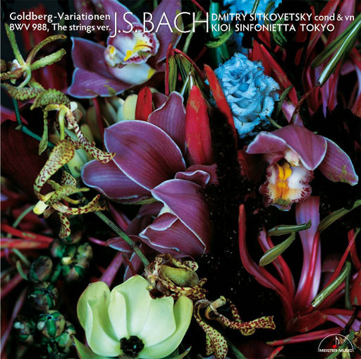 东京热高清无码系列
